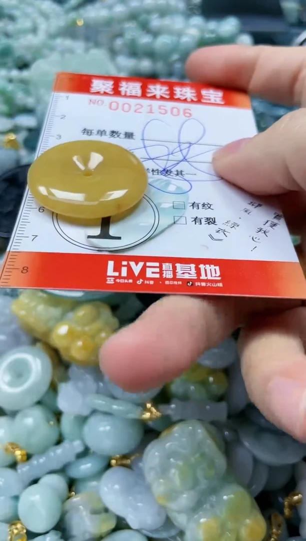 【闪购商品】翡翠颈饰未镶嵌闪购0021506