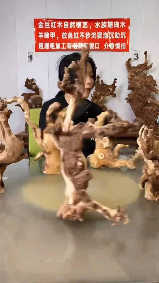 香榧木金丝红木  羊蹄甲