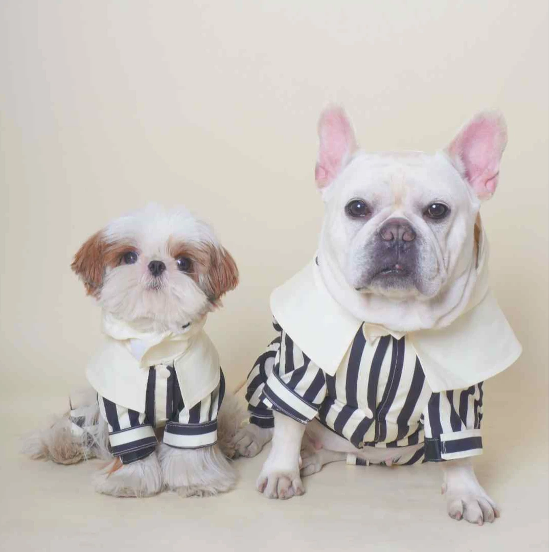 DDPET狗衣服宠物夏季法斗雪纳瑞比熊马尔济斯西施小型犬四脚雨衣