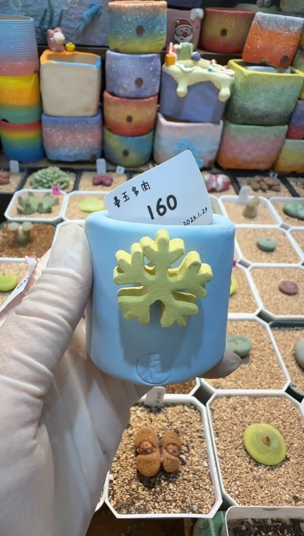 【闪购商品】25.1.25-160