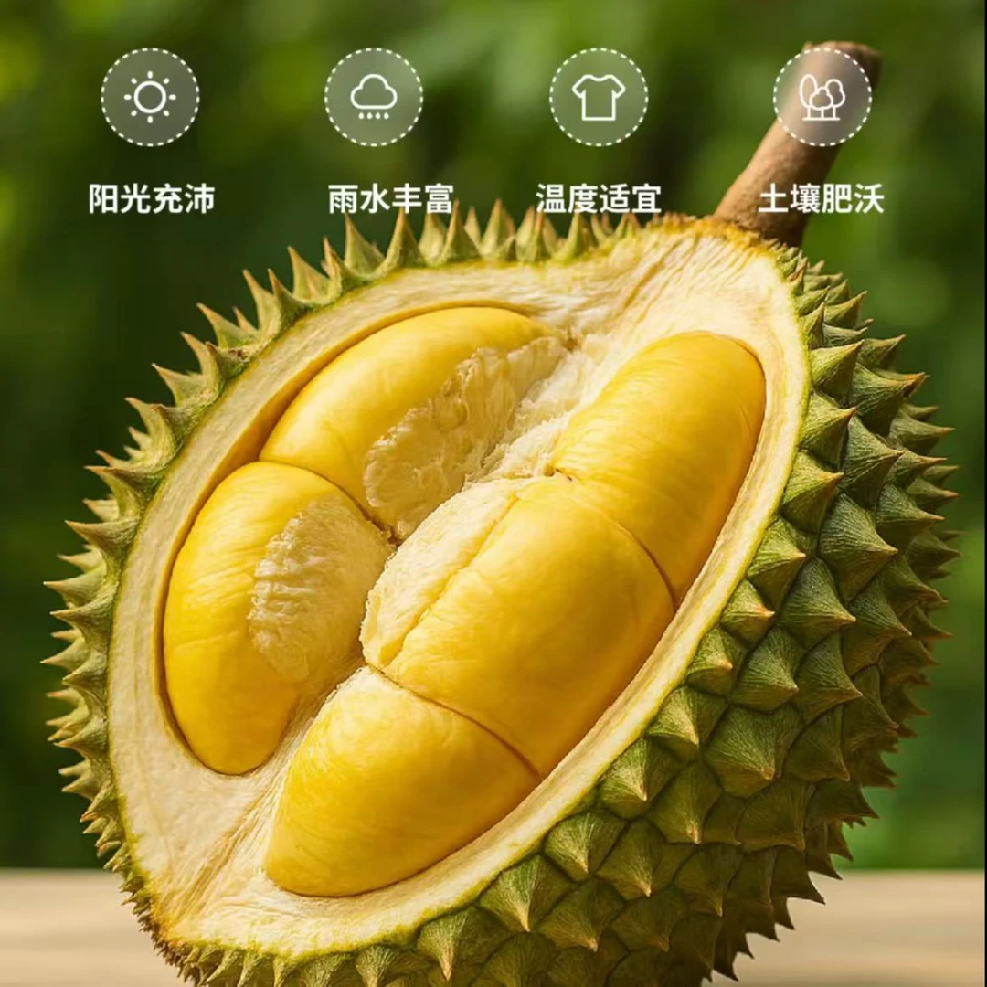 【食品城水果】长柄新鲜榴莲核大3-8斤榴莲同城送长柄泰国