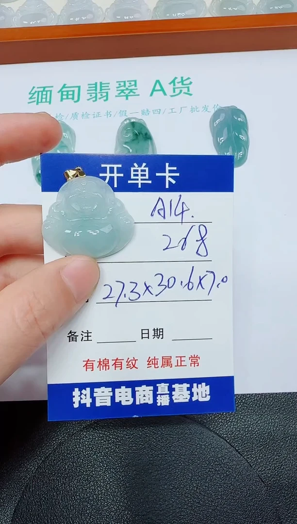 翡翠未镶嵌吊坠(赠链)A14