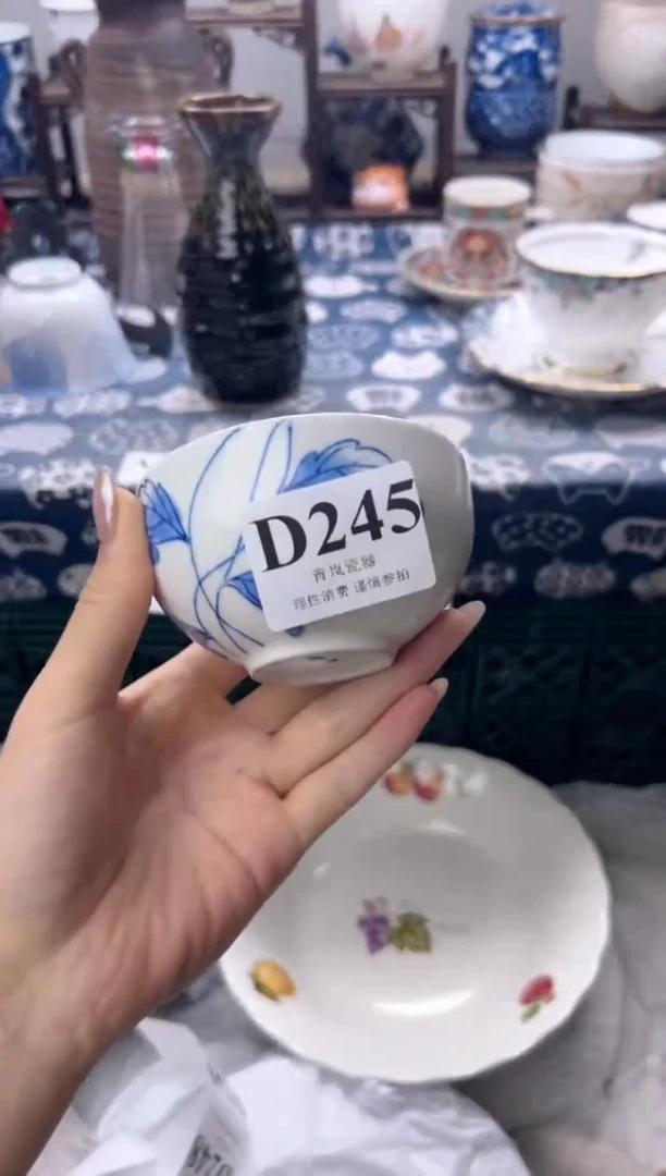 瓷片.*     D245