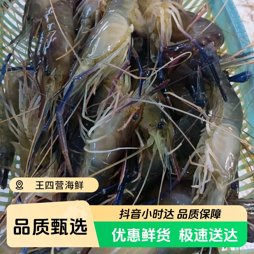 【特惠】保鲜罗氏虾3斤