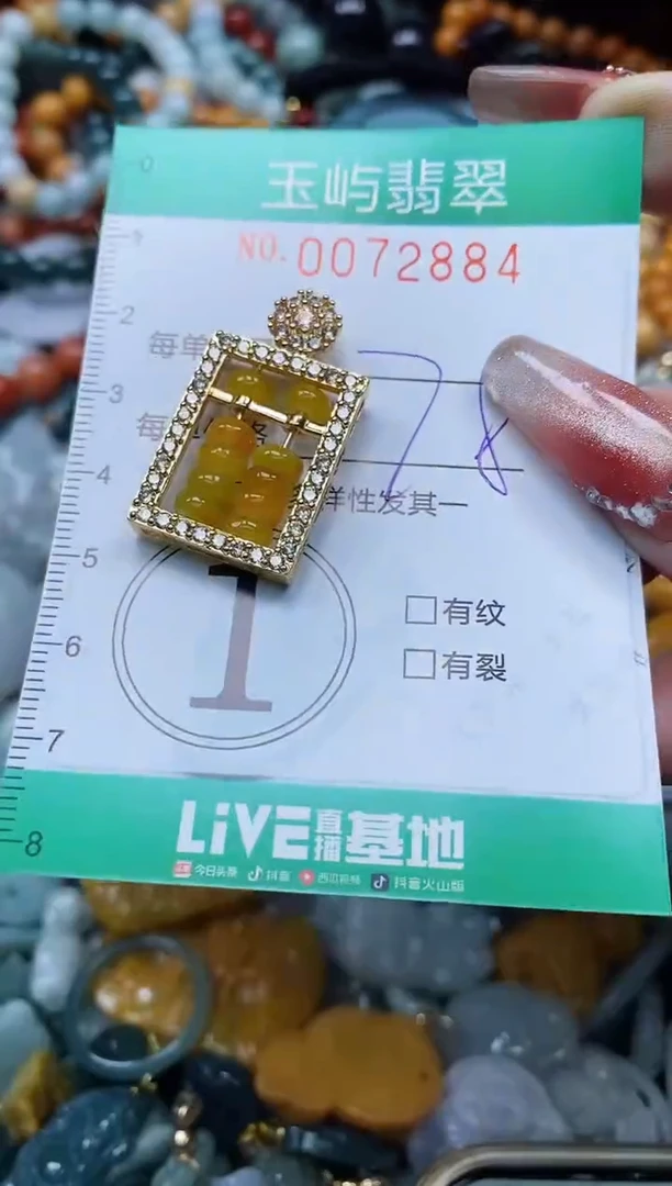 【闪购商品】翡翠颈饰未镶嵌闪购0072884