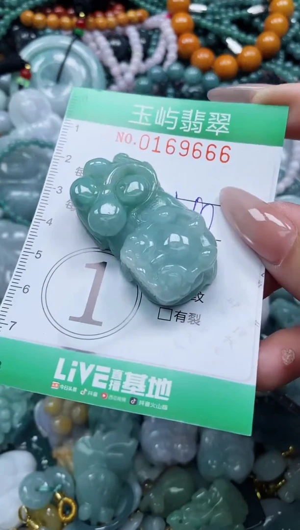 翡翠未镶嵌颈饰闪购0169666