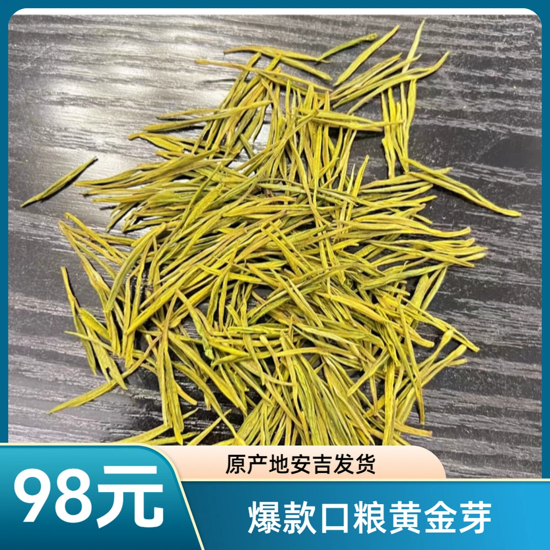 25年新茶（A1黄金芽爆款口粮）正宗安吉溪龙原料新茶春茶高山豆香浓