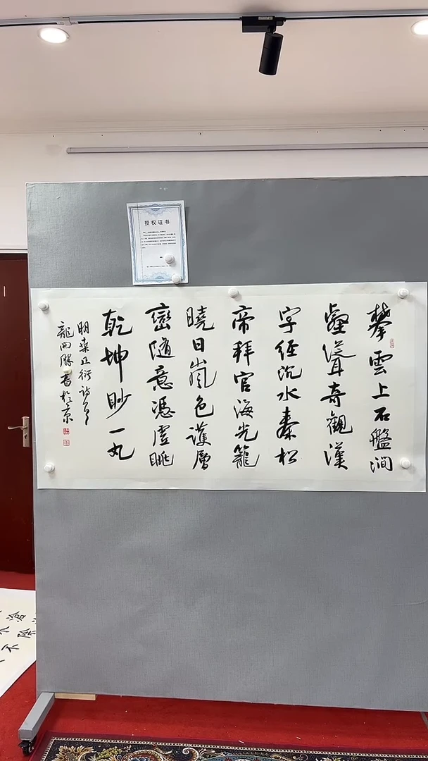 【闪购商品】书法雅艺典藏文化书法