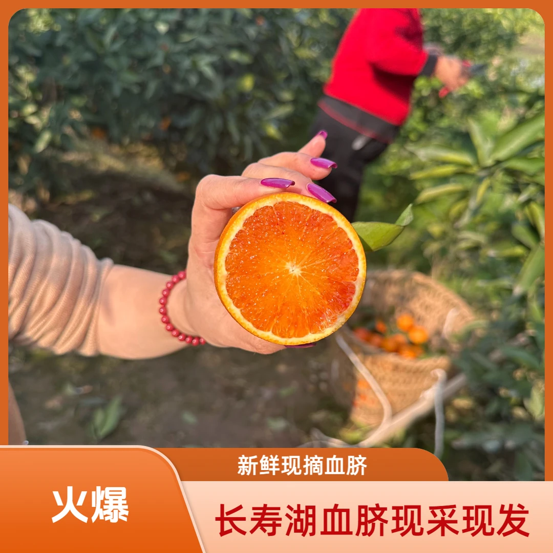 寿湖血橙血脐新年送礼大份量家庭装年货节自带新年好运的水果