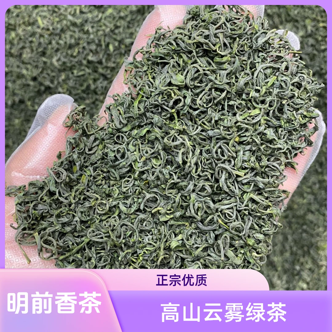 松阳香茶高山绿茶炒青云雾茶板栗香浓香耐泡口粮茶