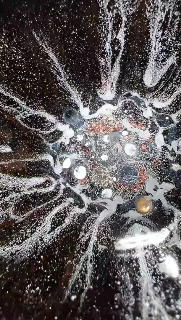 茶盏生*52叶明龙窑柴烧开窑暇宝360+雕刻150