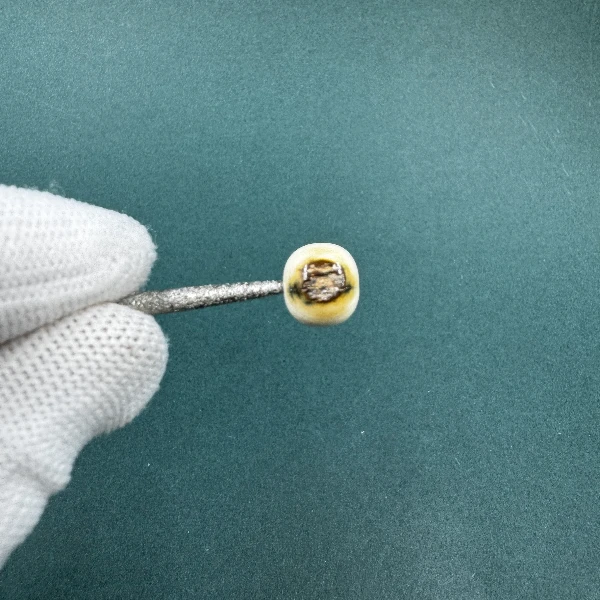 B6518天然猛犸牙老型桶珠配饰支持鉴定假一罚四