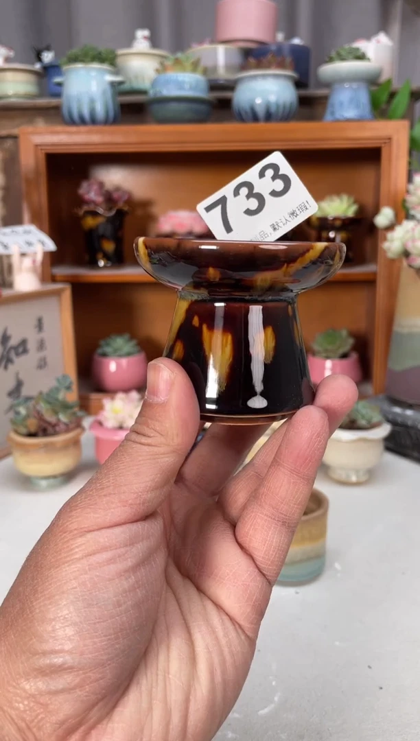 瓷片733小芳直播编号