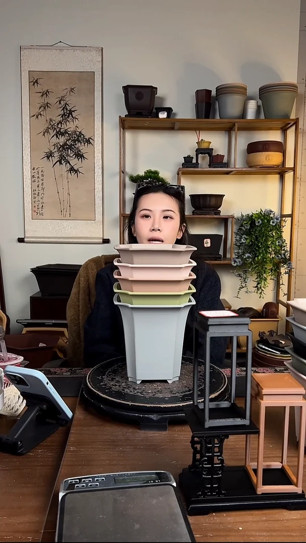 18*17.5四方尊 5只装混色