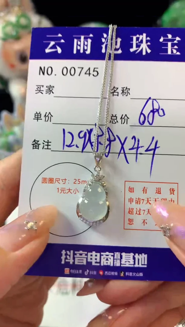 翡翠银S925镶嵌颈饰翡翠