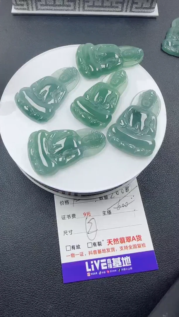 【闪购商品】翡翠颈饰未镶嵌翡翠素衣观音（多样性发其一）