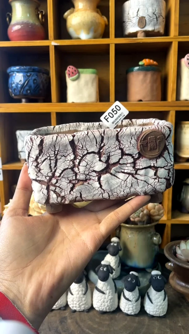 050长12.5【多肉花盆多肉盆】