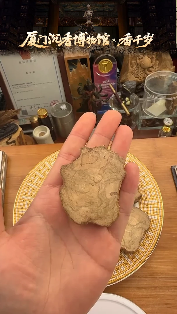 马泥涝树心原料牌 多样性发一