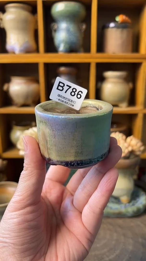 786 内口5【多肉花盆多肉盆】