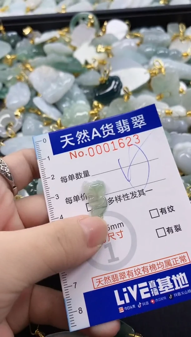 颈饰未镶嵌翡翠天然A货翡翠