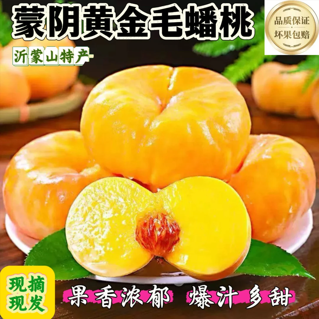 【坏果包赔】d蒙阴黄金毛蟠桃软吃浓香爆汁多甜水蜜桃黄桃现采