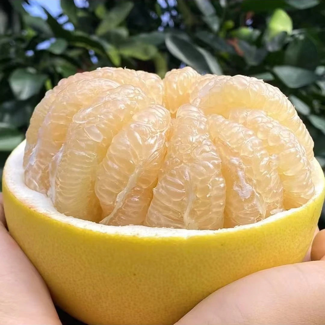 【巧巧优选 福建白玉沙地蜜柚】皮薄 果肉厚实 汁水丰富福建省