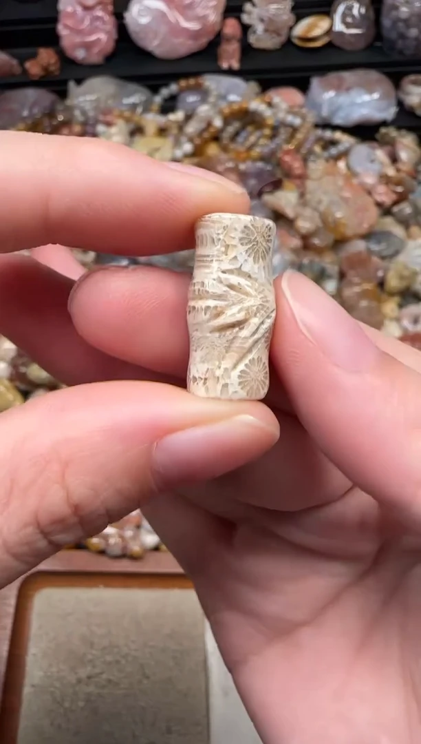 颈饰未镶嵌硅化珊瑚（珊瑚玉）015