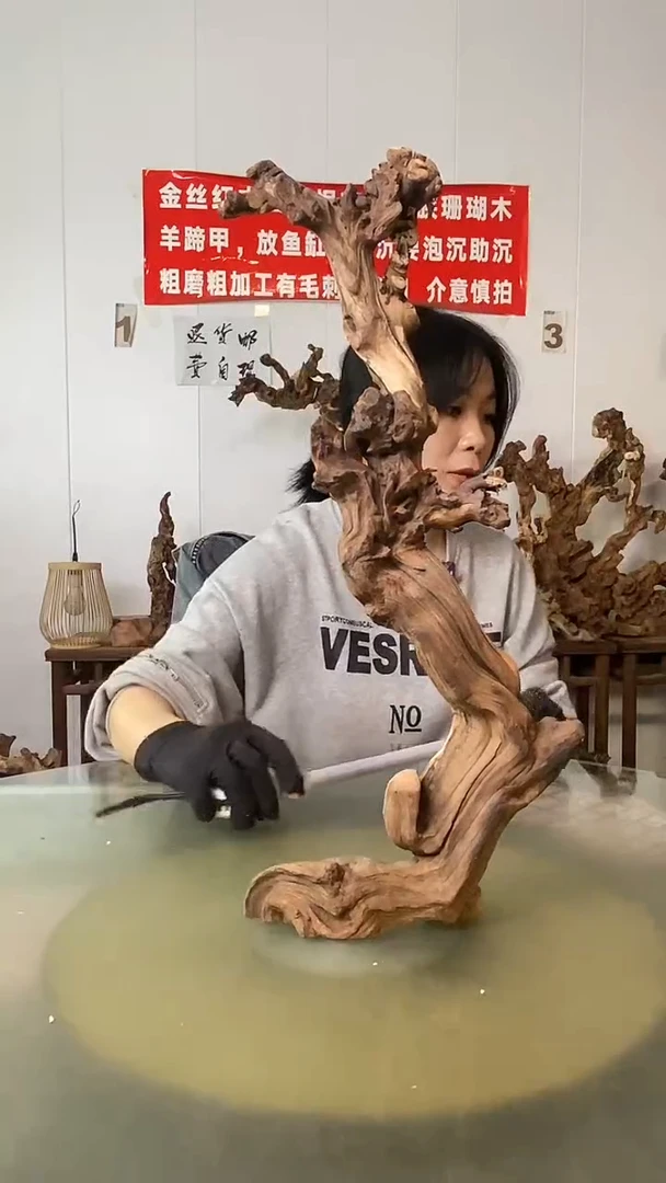 香榧木宝*金丝红木 羊蹄甲