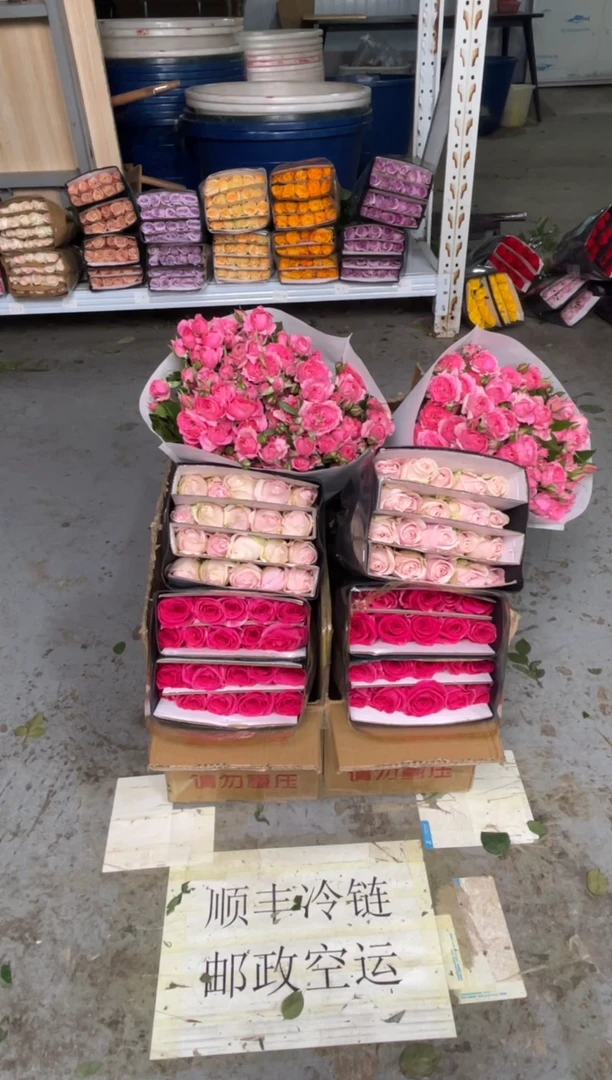 粉红20枝+佛洛依德20枝+苏菲10枝