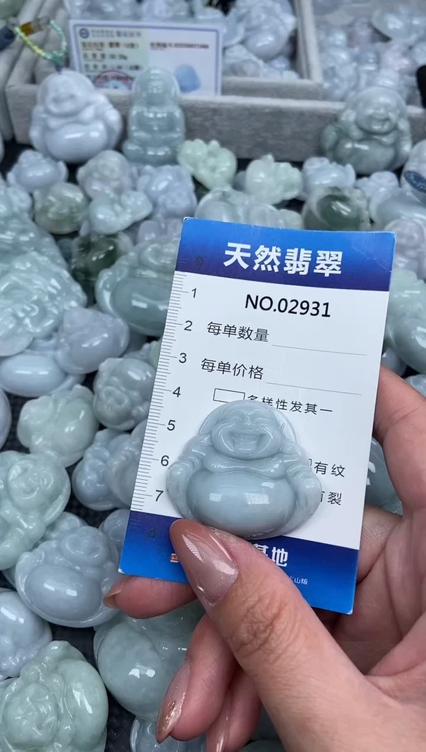 颈饰未镶嵌翡翠纯天然A货翡翠2931