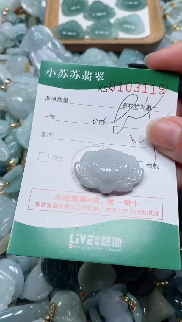 【闪购商品】翡翠颈饰未镶嵌闪购商品0103119