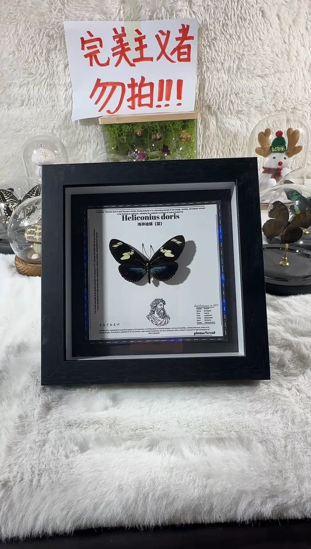 木海神修蝶蓝新相框