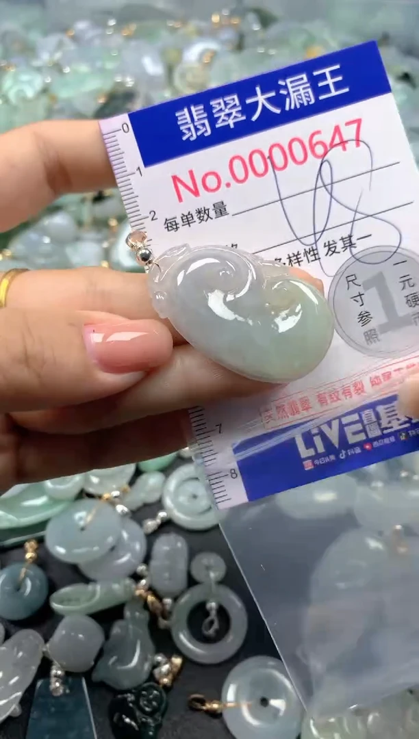 颈饰未镶嵌翡翠647