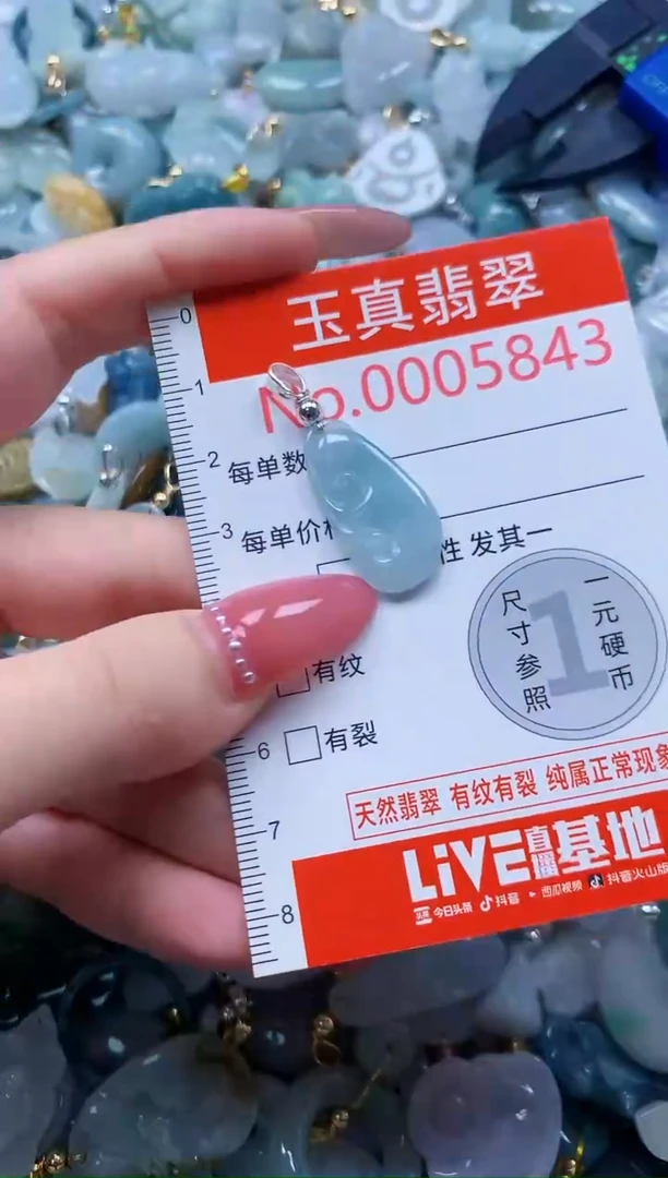 翡翠未镶嵌吊坠(不含链)5843