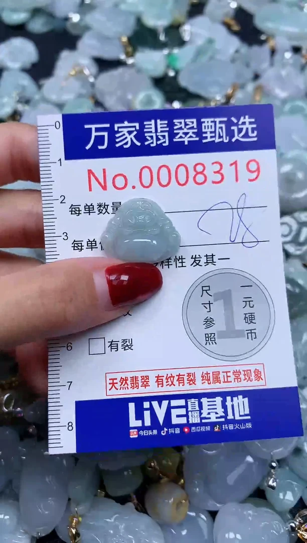 颈饰未镶嵌翡翠8319