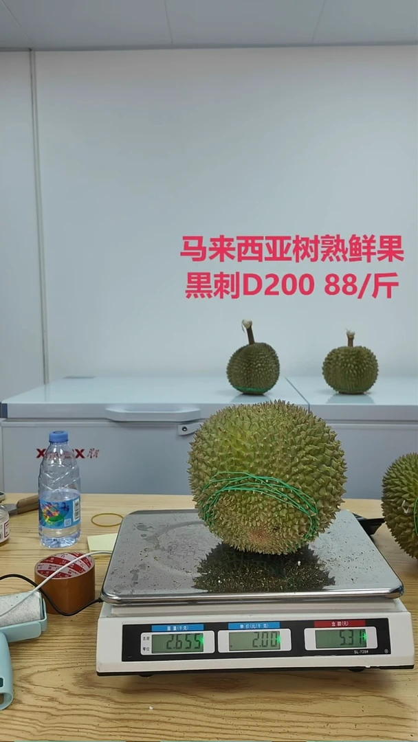 黑刺小软 456 退一颗