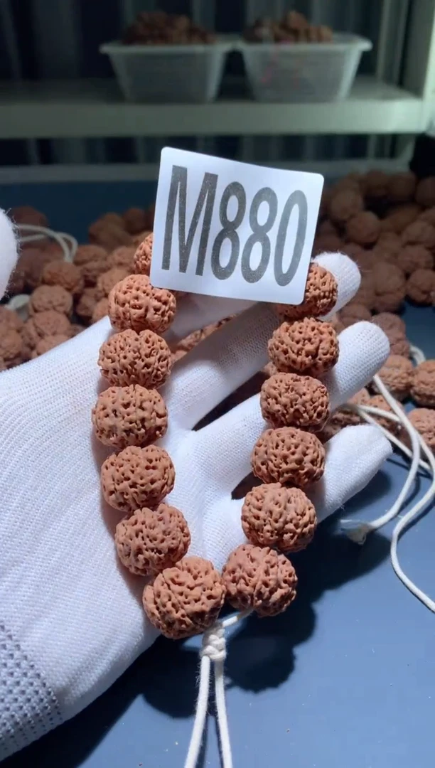 手串金刚菩提M00000880