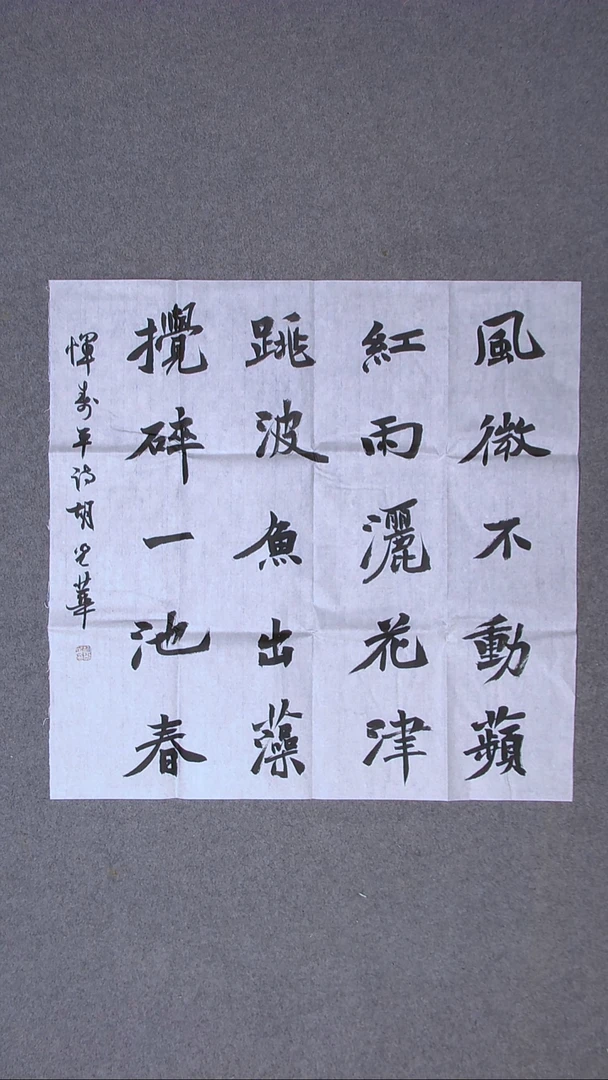 书法胡光华 甘肃69*69（6）