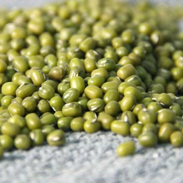 农家笨绿豆可以做绿豆糕好煮易烂