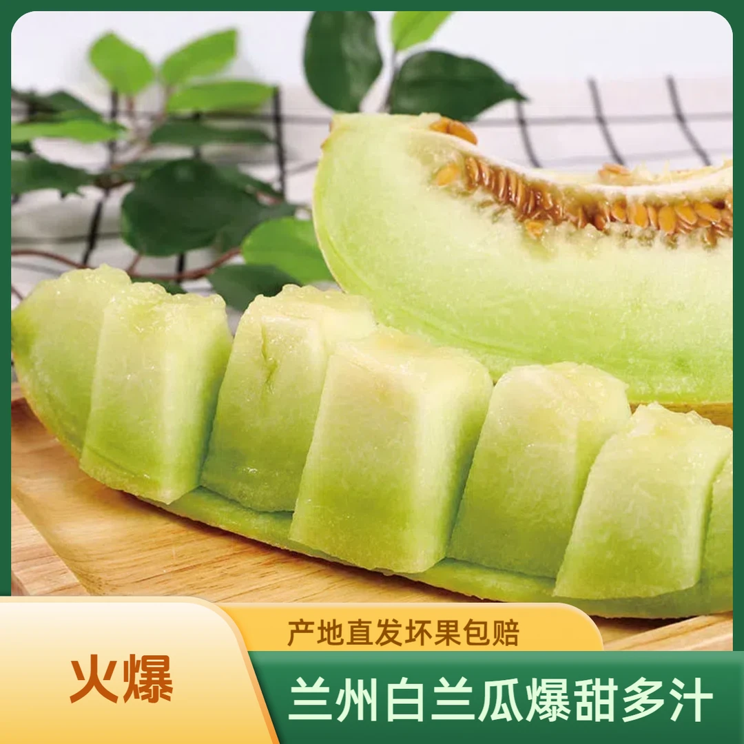 兰州白兰瓜台农2号爆甜多汁蜜瓜礼箱装原产地直发坏果包赔包邮