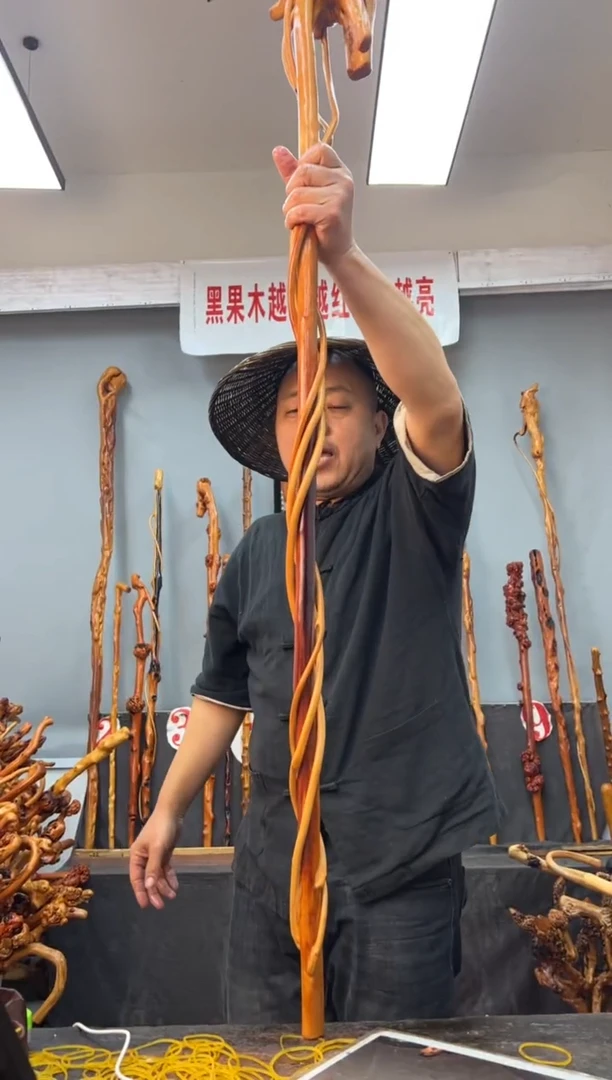 【闪购商品】黑果木其他黑果木669