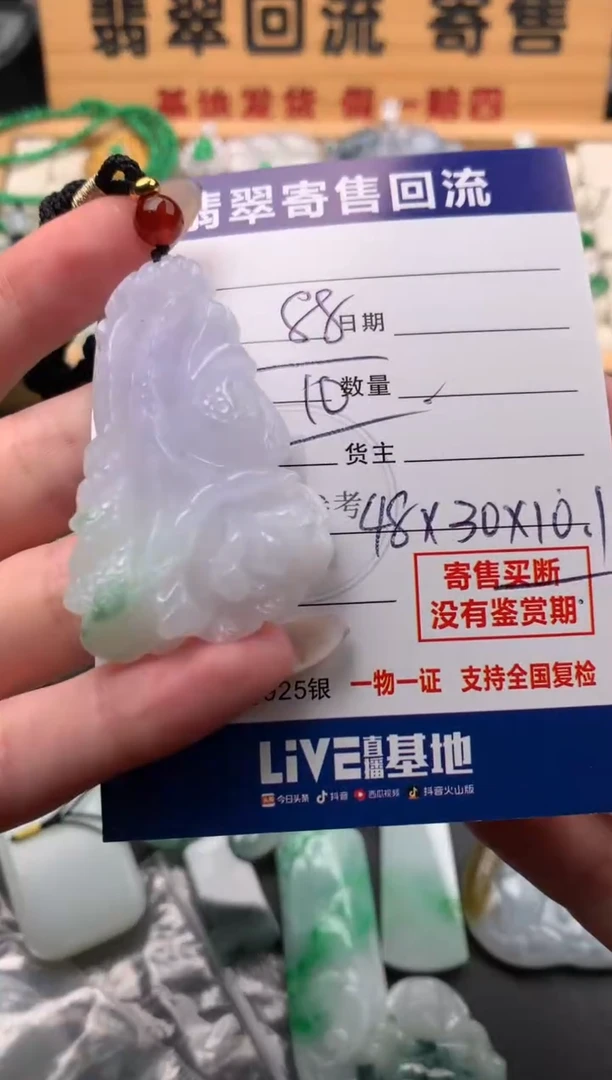 颈饰未镶嵌翡翠10144540