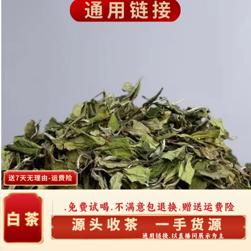 (CN788)kjd/2023年春/帮骂200年树龄/白茶/250g散装