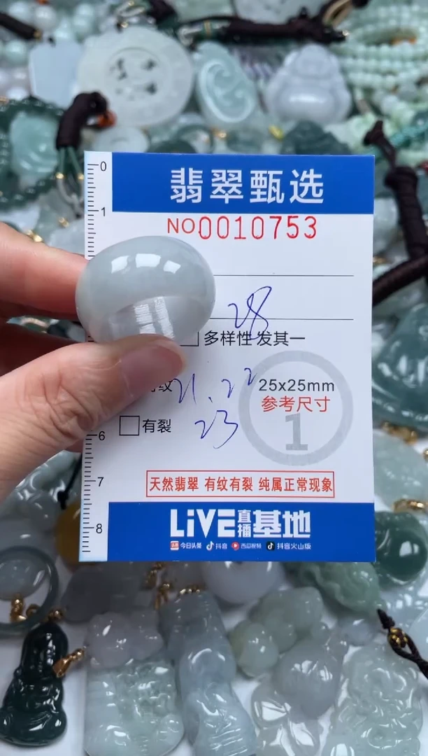 颈饰未镶嵌翡翠10753