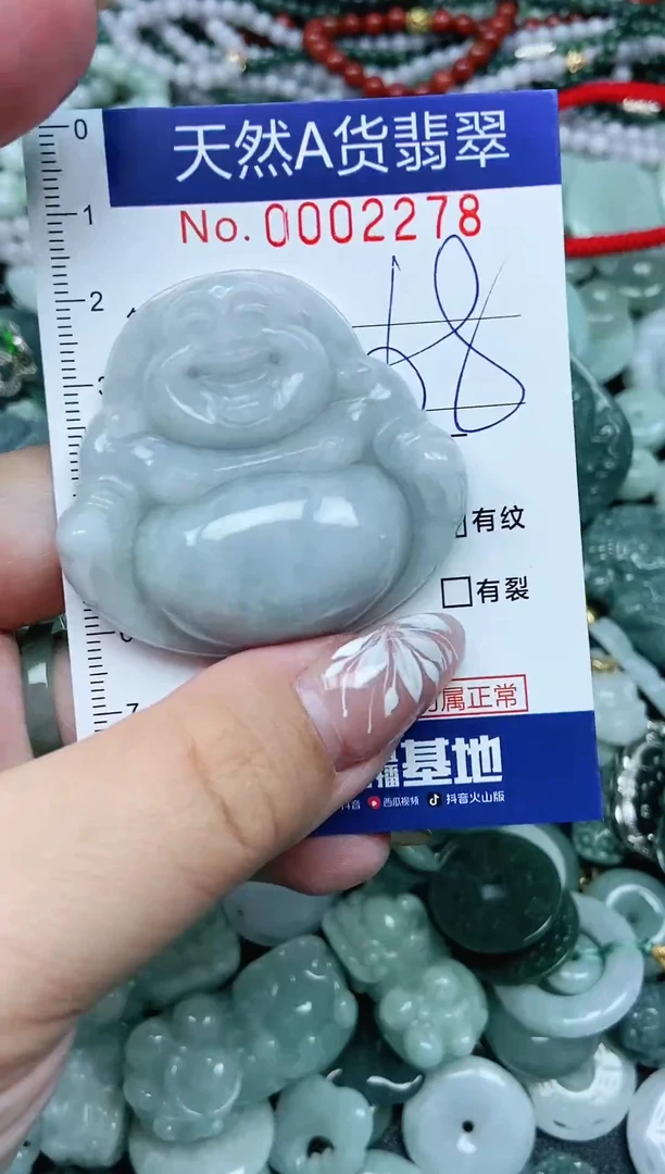 颈饰未镶嵌翡翠天然A货 支持复检