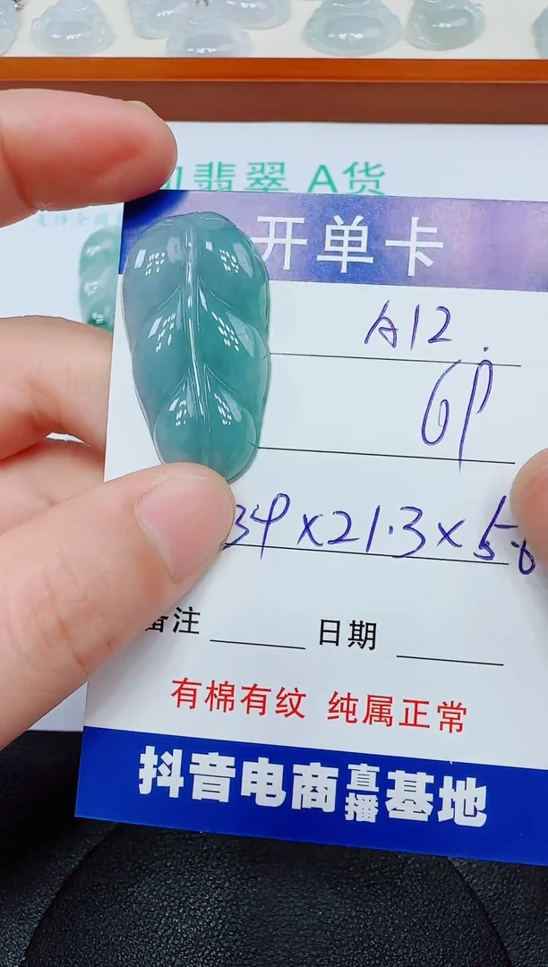 翡翠未镶嵌吊坠(赠链)A12