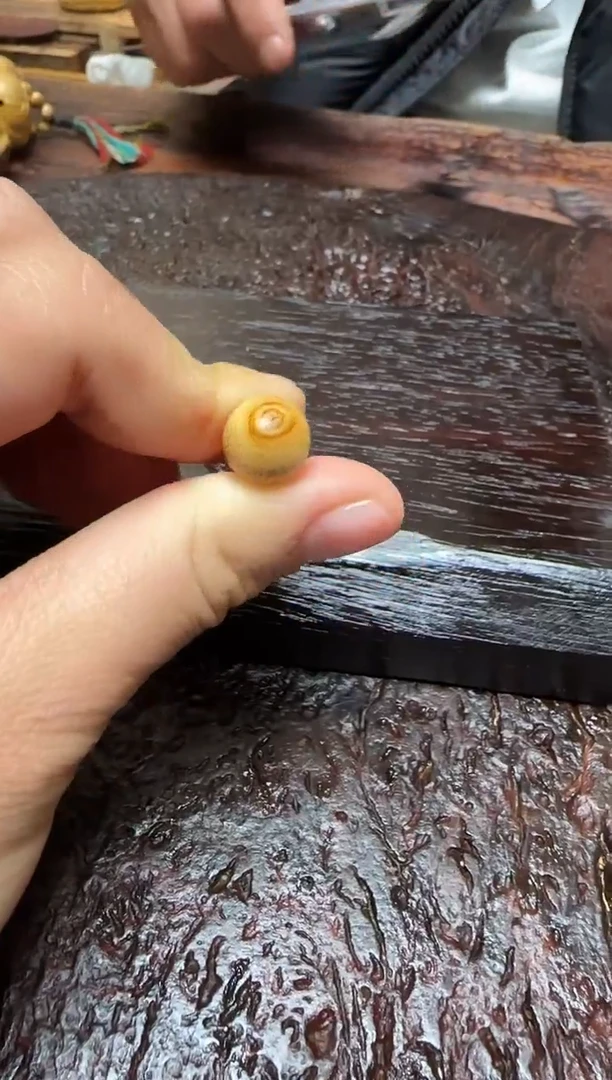 竹1143竹根竹根竹根