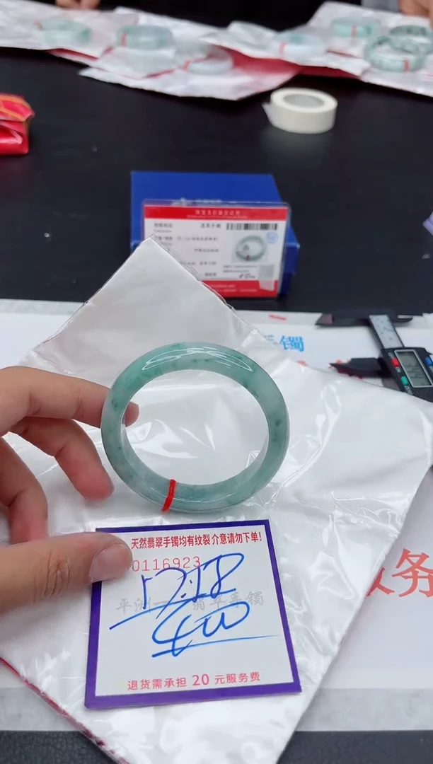 未镶嵌手镯翡翠11111