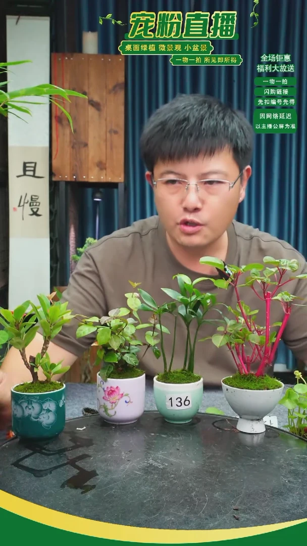 无花朵童****1苔藓微景观136号