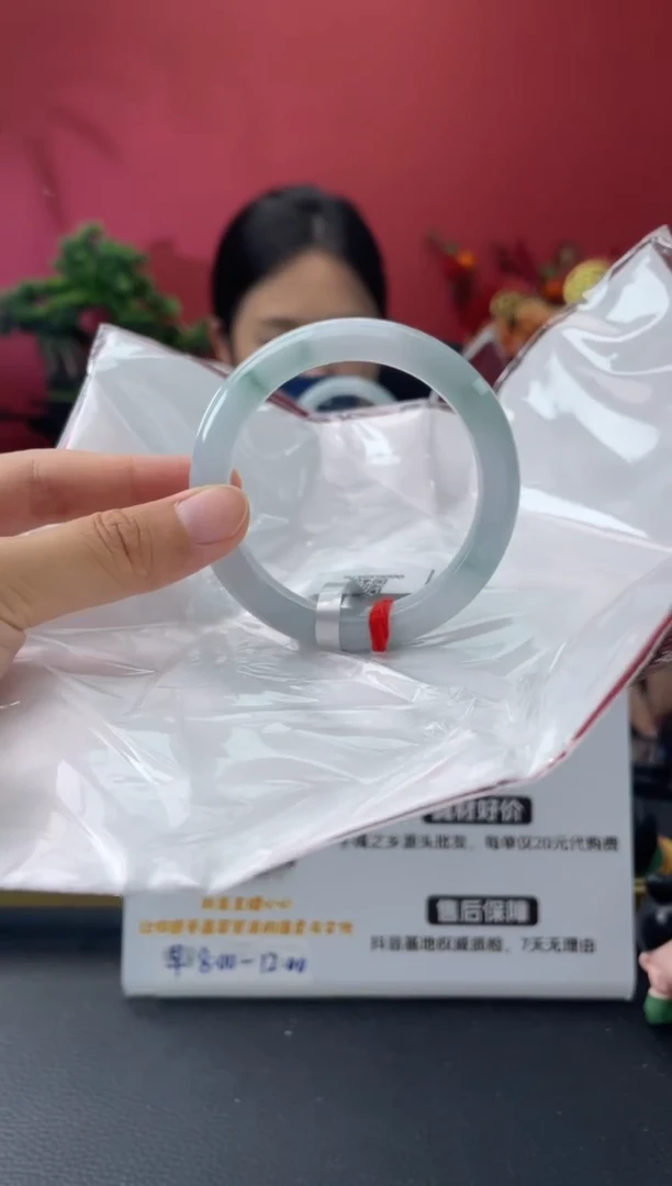 未镶嵌手镯翡翠19